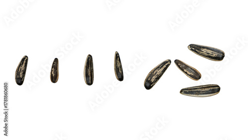 Sunflower Seeds on Transparent Background