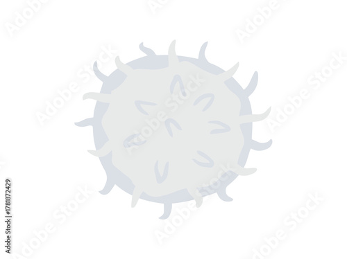 White Blood Cell Lymphocyte