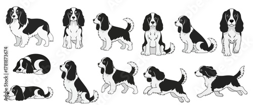 Spaniel Dog Vector Set — Cute Pet Illustrations in Multiple Poses, for pet-themed designs, animal pattern creation, dog lover , T-shirt design, stickers, branding, and children’s illustration