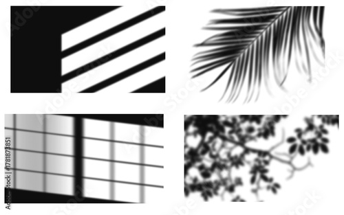 Shadows window pattern photo set png shadow, Palm leaf, Tree branch texture art png set, Shadows minimalist