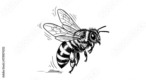 Detailed drawing of a bee in flight with visible wings and stripes.