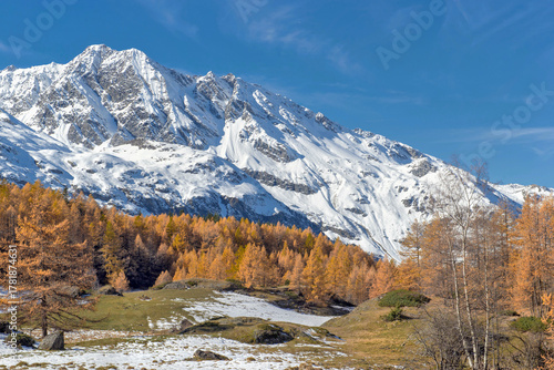 beautiful autumnal scenic landscape alpine valley with golden larch trees in ...