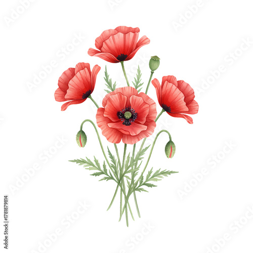 Watercolor Red Poppy Bouquet with Greenery on White Background