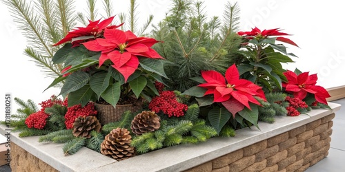 Festive Poinsettia and Ever...