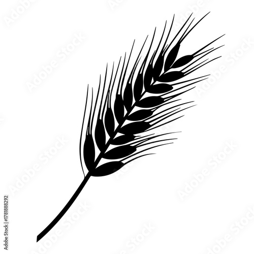 Wheat spike in black silhouette on white background  