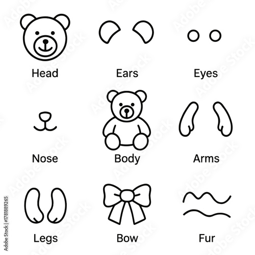 Cute bear parts diagrams with labels: head, ears, eyes, nose, body