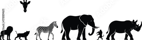 Silhouette lineup of wild African animals, including lion, zebra, elephant, rhino, monkey, giraffe head, safari wildlife concept illustration design