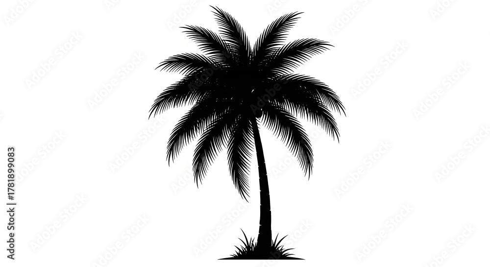 Fototapeta premium A simple black silhouette of a single tropical palm tree isolated on a white background.