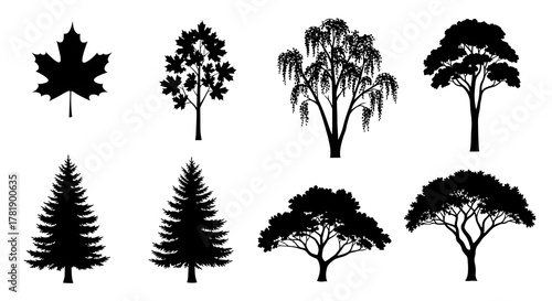 Wallpaper Mural A collection of eight distinct black silhouette tree illustrations, showcasing various shapes and leaf types. Torontodigital.ca