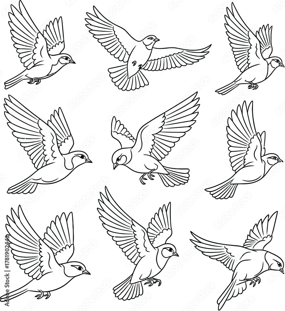 Fototapeta premium Collection of black and white bird silhouettes in various flight poses birds flying