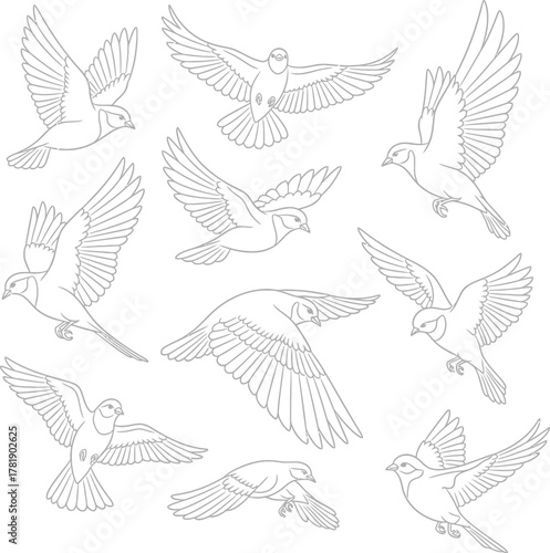 Foto Flock of birds in flight silhouette pattern flying