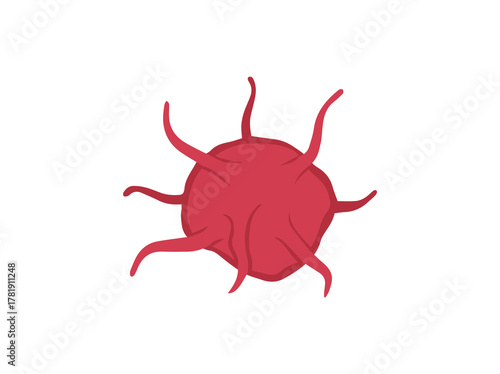 Platelet Cell Thrombocytes 