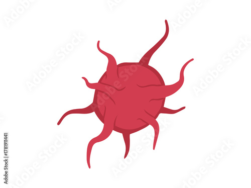 Platelet Cell Thrombocytes 