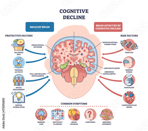 Cognitive decline brief diagram compares healthy vs affected brain, mapping protective and risk factors with symptoms, key objects, brain, arrows, icons, transparent background.