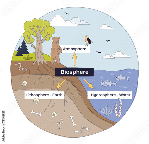 Earths biosphere brief diagram shows life interacting across atmosphere, hydrosphere, and lithosphere, tree, bear, and fish illustrate ecosystems, transparent background. Doodle style diagram