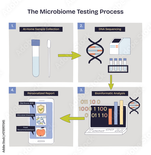 Microbiome testing process illustrated as a simple workflow from collection to insights, sample tube, DNA helix, and laptop highlight key steps and outcomes, transparent background.