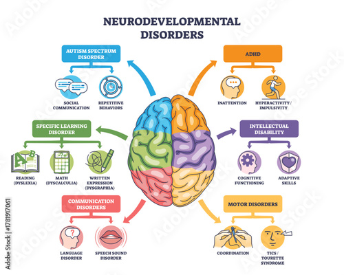 Neurodevelopmental disorders outline with a central brain linking autism, ADHD, learning and communication issues, key objects, brain, arrows, icons, transparent background.
