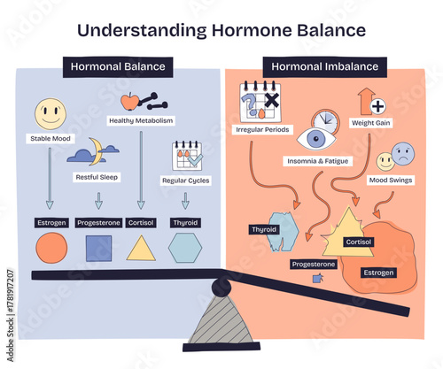 Hormone balance explained, a seesaw contrasts balance vs imbalance with estrogen, cortisol, and thyroid icons, showing mood, sleep, and cycle effects, transparent background. Doodle style diagram