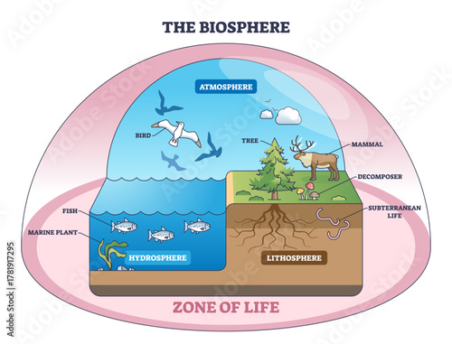 Biosphere diagram explaining life zones across atmosphere, hydrosphere and lithosphere, key objects, tree, fish, bird, transparent background.