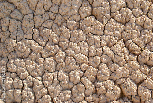 Cracked dry earth showing extreme drought condition