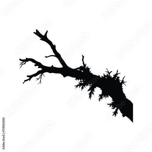 Dramatic silhouette of a fallen tree branch with sparse foliage in stark black and white, dead branch with moss silhouette vector illustration