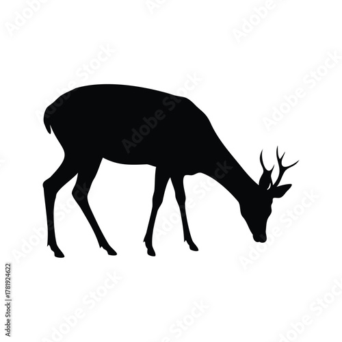 Silhouette of a deer grazing in a field on a white background, deer sniffing the ground silhouette vector illustration