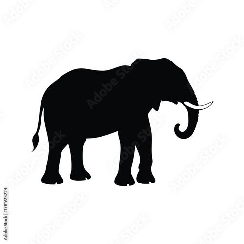 Dramatic black silhouette of a mighty African elephant against white background, elephant standing silhouette vector illustration