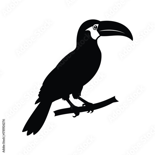 Black Silhouette Illustration of a Toucan Perched on a Tree Branch, jungle bird perched silhouette vector illustration