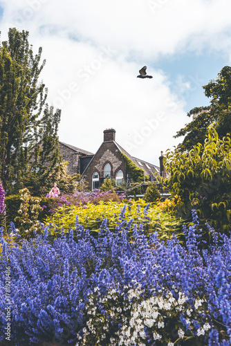 Photography castle details and bloom foreground, with a bird flying in dublin ireland