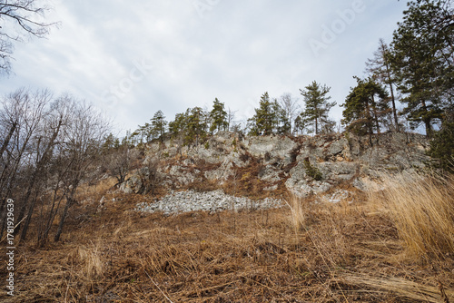 Solid rocky landscape, Rugged terrain with sparse vegetation, Eroded cliffside featuring dry foliage scattered throughout, Jagged rock formations with minimal plant life and weathered edges