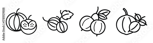 Hand-drawn gooseberries and other fruits line art collection for designs