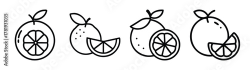 Set of hand drawn grapefruit and orange slice icons fruit illustrations citrus design elements
