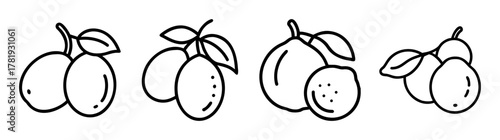Line art sketch collection of hog plums with leaves on stems artistic rendering