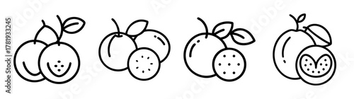 Hand drawn indian gooseberries amla fruit with leaves and slices line art collection