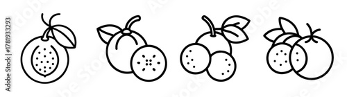 Jabuticaba fruit line art icons set fresh organic berry clusters leaves and slices