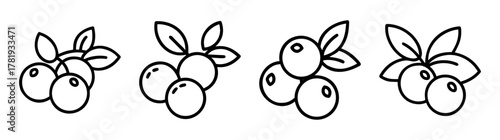 Hand drawn sketch of cranberries on branches with leaves simple line art fruit