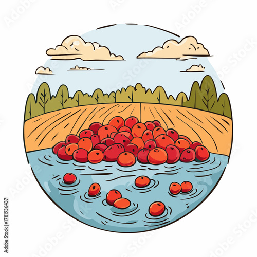 Cranberry harvest at flooded bog in Massachusetts during daytime