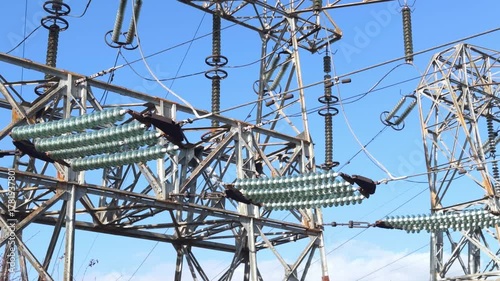 Massive steel structure of a high-voltage power line pylon with garlands of glass insulators. Focus on energy infrastructure.