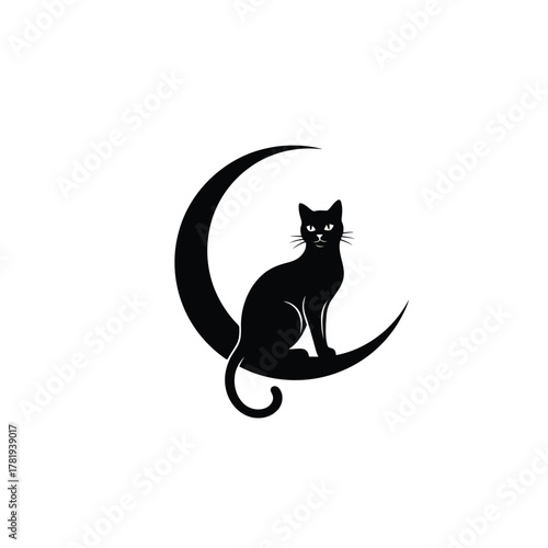 Vector illustration of black cat sitting on a crescent moon