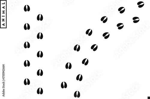 Bull footprints vector. Bison footprints silhouette