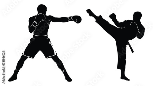 Martial arts and boxing silhouettes isolated on white background, Vector
