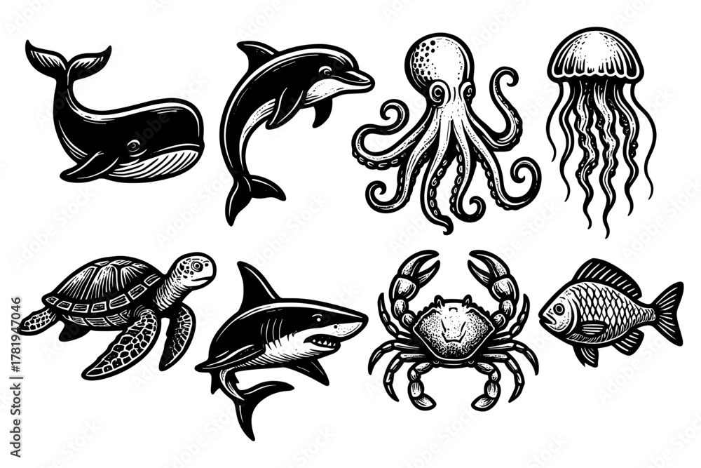 Fototapeta premium Detailed black and white marine life drawings featuring iconic sea creatures