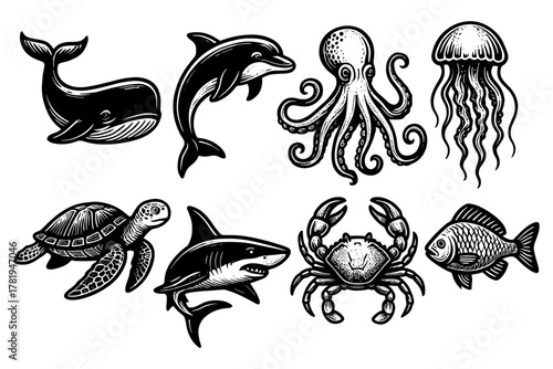 Detailed black and white marine life drawings featuring iconic sea creatures
