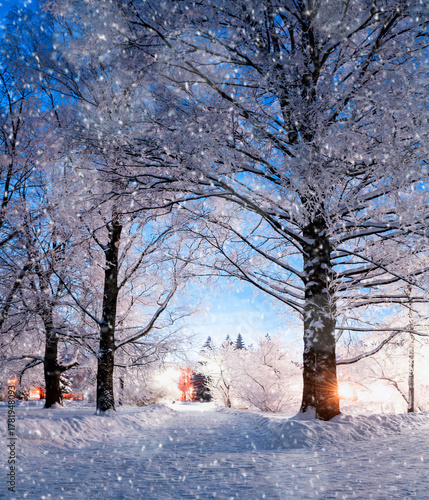 Winter landscape, winter night alley with frosty trees and shining lanterns in the evening, winter wonderland landscape of the night city park