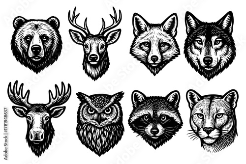 Monochrome animal portraits: bear, deer, fox, wolf, elk, owl, raccoon, cougar heads