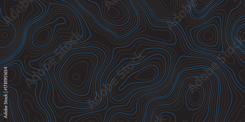 Abstract dark background with blue contour lines resembling a topographic map. Modern digital design for technology, geography, or data visualization themes. Minimal, clean, and futuristic style.