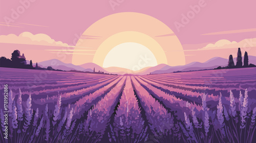 Lavender Field Landscape at Sunset Colorful Vector Illustration