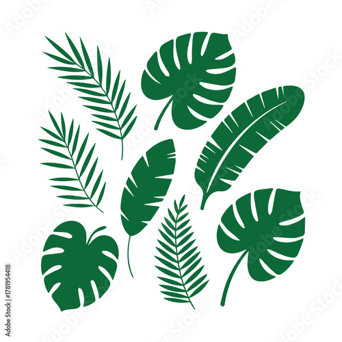 Tropical Leaves Vector Collection. Monstera, Palm, and Banana Leaf Silhouette Set.