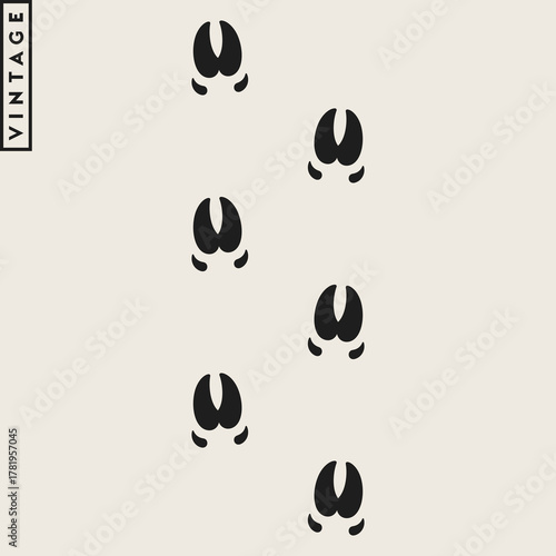 Farm animal track. Pig footprints 