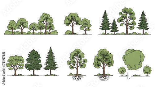 Diverse outlined vector tree and bush illustrations for nature, park, and garden landscape design elements collection